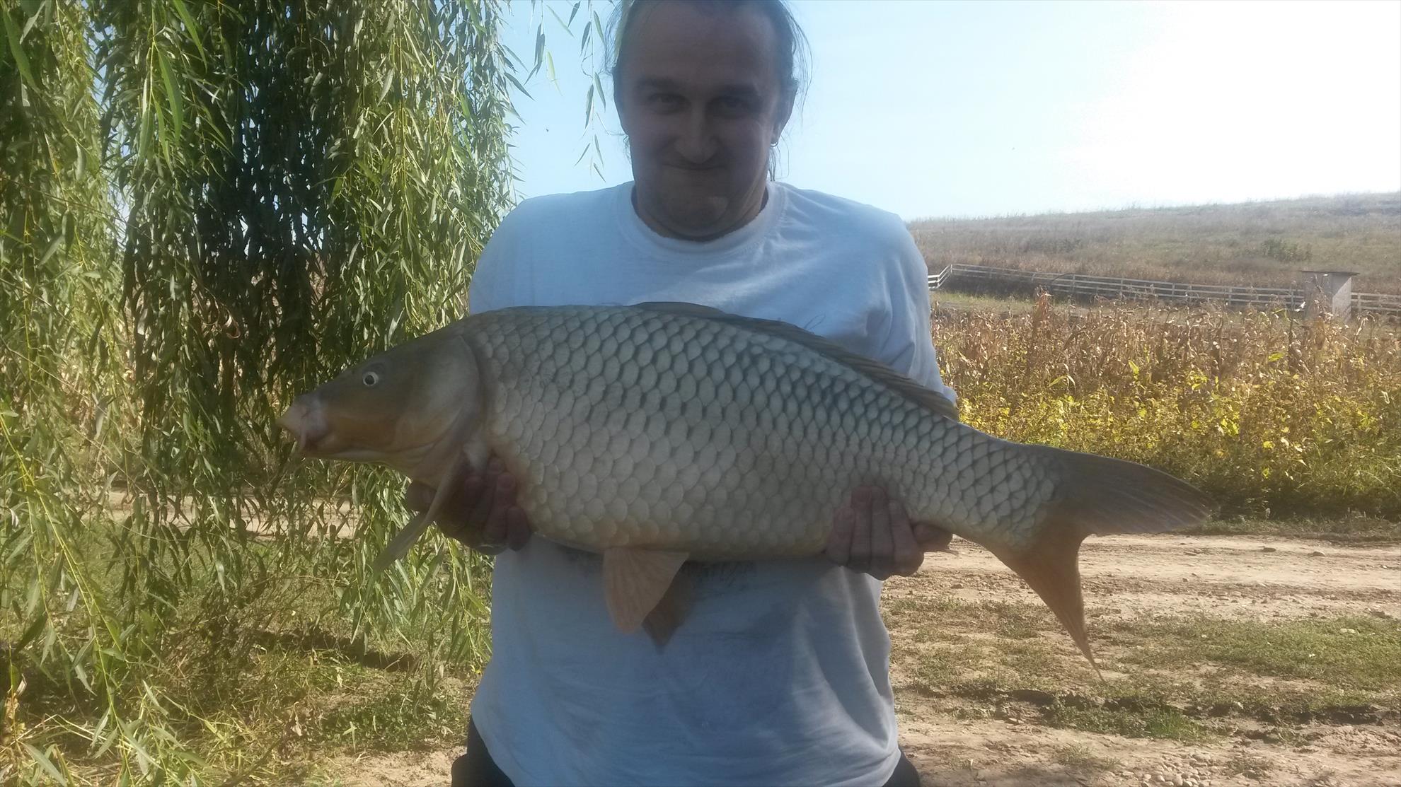 magura 9 - 201410011444401.jpg